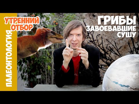 The first creatures to live on land weren't plants, but fungi. Yaroslav Popov