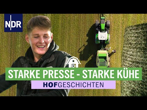 Grassilage: Gutes Winterfutter für die Angusrinder | Hofgeschichten: Leben auf'm Land (353) | NDR