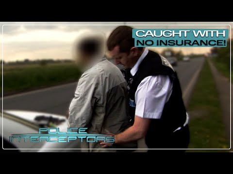 Cops CATCH Drivers Without Insurance! | Police Interceptors