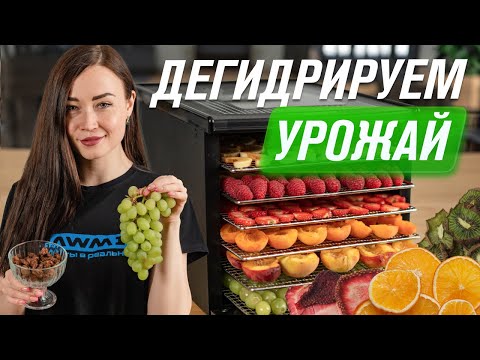 Как сохранить урожай: сушка фруктов, овощей, ягод, грибов в дегидраторе RAWMID RMD-10 и RCD-06