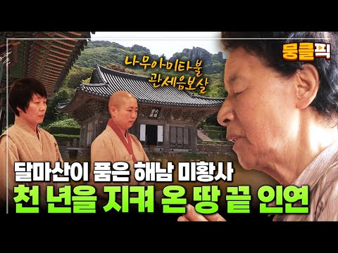 해남 땅 끝, 달마산 품속엔 천 년 역사의 사찰이 있다🙏고요와 평안 속에서 얻어가는 참된 깨달음😌 다큐3일 ‘부처님 오신 날 - 해남 미황사' | KBS 150524 방송