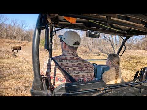 We Went Looking for Strays, Found This Instead!