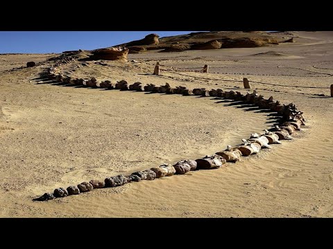 Cet homme n’en a pas cru ses yeux quand il a trouvé ça dans le désert...