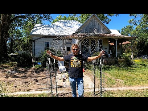 CATTLE PANEL ARCH ARBOR TRELLIS FOR 140 YEAR OLD FARM HOUSE LAWN | EASY DIY