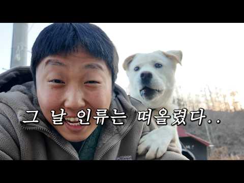 Winter, the advancing dog who is so grateful for changing houses