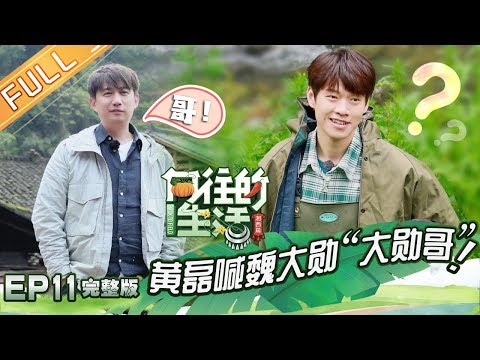 《向往的生活3》第11期 完整版：魏大勋挑衅黄磊遭制裁 鹿晗觉醒触发捕鱼技能 Back To Field S3 EP11【湖南卫视官方HD】