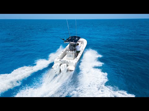 No Agenda - Mahi - Wahoo - Grouper - Jack - Tile Fish - Non Stop Action