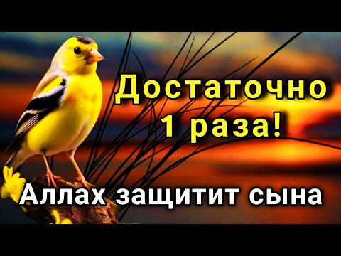 ЭТО САМАЯ СИЛЬНАЯ МОЛИТВА ЗА СЫНА!СПАСЁТ ОТ БЕДЫ ЗЛЫХ ЛЮДЕЙ ПОРЧИ СГЛАЗА СИЛЬНЫЙ ОБЕРЕГ!  