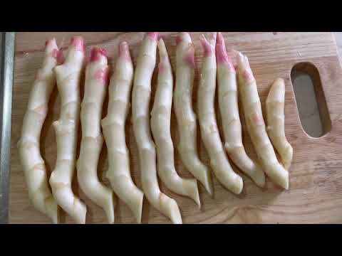 73.《醃嫩薑》壽司的好朋友，早齋的良伴 Pickled Tender Ginger 「姑奶奶美食」