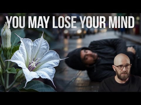Datura: The Psychedelic Which Only Causes Bad Trips