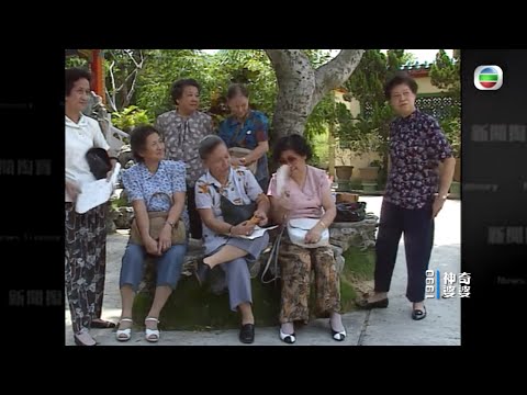 神奇婆婆的少女時代 戰亂面對日軍捉住 -TVB新聞掏寶 -TVB News