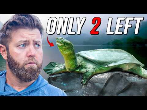 5 More Animals That Are About To Go Extinct