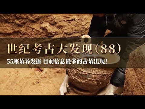 整个墓地中目前唯一发现的 没有被盗且出土器物较多的古墓 大型青铜器发掘即刻开始！《探索·发现》世纪考古大发现（88）丨 中华国宝