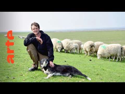 Zu Tisch ... in Nordfriesland | ARTE