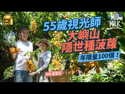 #MM｜55歲視光師於大嶼山隱世種每年限量100個香港獨有香水蜜糖菠蘿 出產3,000斤黃皮 80後辦《大嶼食通信》買雜誌送本地農產 直擊八號風球拉大隊上山救黃皮！｜#700萬種生活 #4K