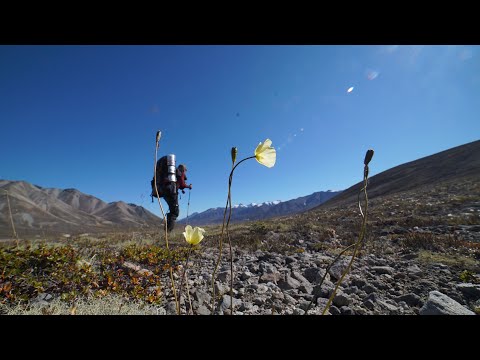 «Берилл» | К самой высокой горе Хабаровского края