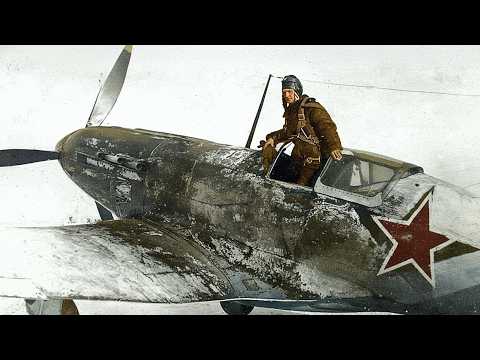 Germany Mocked the Il-2 Sturmovik — Until It Became the Most Feared Aircraft on the Eastern Front