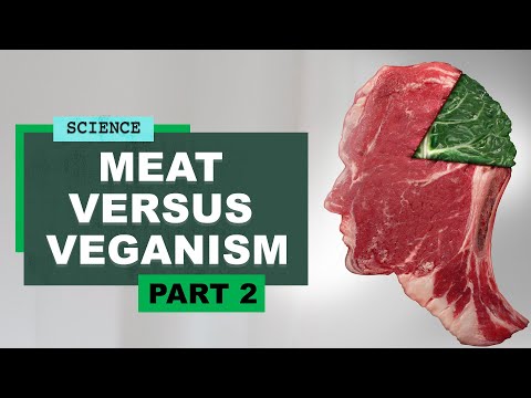 Meat Versus Veganism | Dr Robert Lustig on Biomarkers, Blending and Insulin (part 2)
