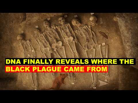 Ancient DNA Exposes the Mystery of the Black Death’s Origin!