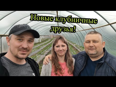Новые клубничные друзья. Дима из ст.Крыловской