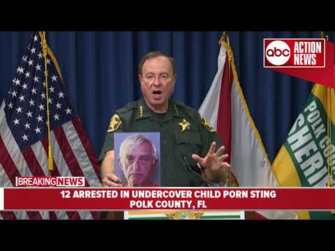 Polk County detectives arrest more than 12 in undercover child porn sting