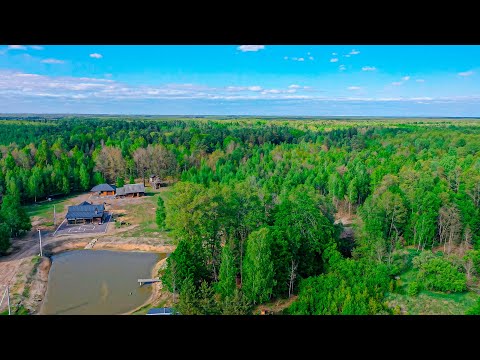 Self-sufficient life of a couple in the forest far from civilization. Do you want to live like this?