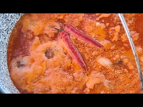 Takmičarska riblja čorba-Recept(Competitive fish soup)