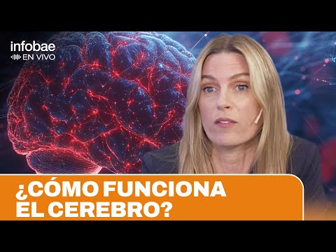 NEUROPSYCHOLOGY AND MIND GAMES