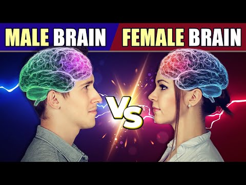 MALE Brain vs FEMALE Brain - What’s The Difference?