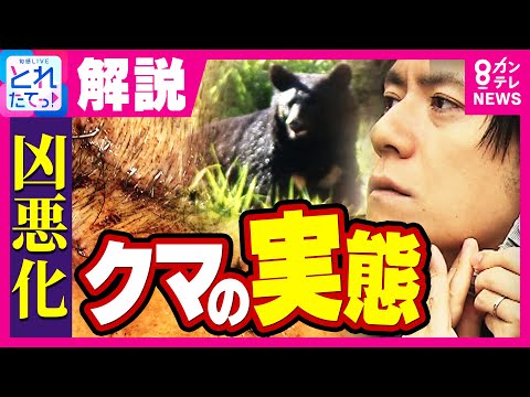 [Unusual] "Four dead and injured" in the worst bear attack in history. The victim, who still has ...