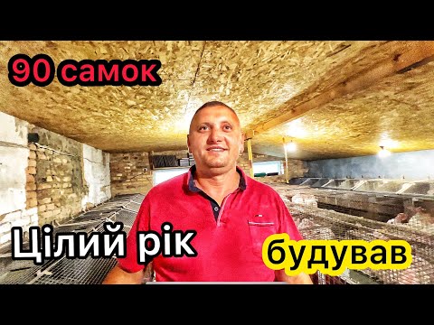 💥Ферма кроликів!💥 Я тут кожен день, і цілий день🐰💥