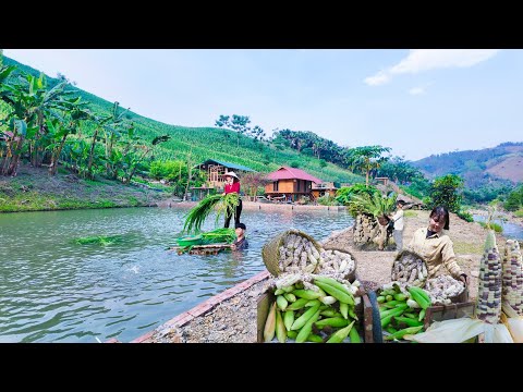 Farming OFF THE GRID, Can I Make a Living Growing Flowers and Corn?