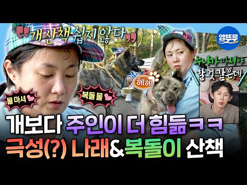 [나혼자산다] 쉴 틈 없는 견주의 삶💦 초보 견주 박나래와 누나 바라기 복돌이의 하루ㅣ#박나래 MBC251121방송