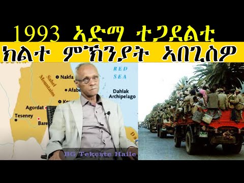 ERISAT 2: 1993 ኣድማ ተጋደልቲ ክልተ ምኽንያት ኣበጊስዎ| 1ይ ክፋል| General Tekeste Haile