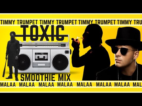 Timmy Trumpet X Malaa Music - Notorious Punjabi Toxic Flip