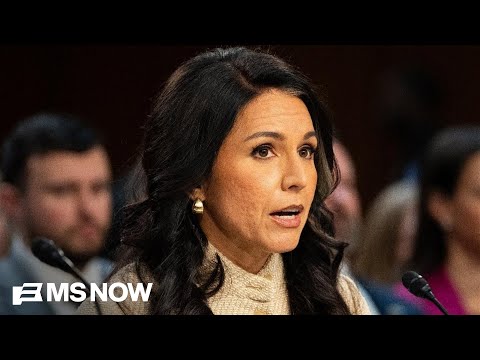 Gabbard: Trump determines what is or isn't an imminent threat, not intel community