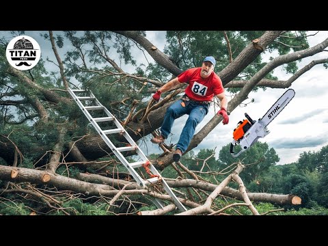 Dangerous Fastest Idiots Cutting Tree Fails Skill With Chainsaw | Tree Falling on Houses #17