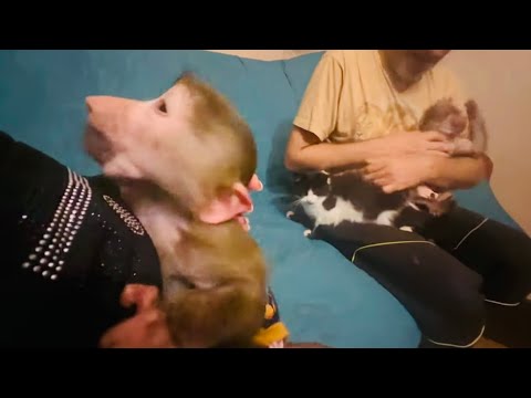 Манечка стало полегче, но она не отходит от меня сутками ни на минуту!