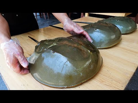 GIANT ALIEN CRAB Vietnamese Street Food