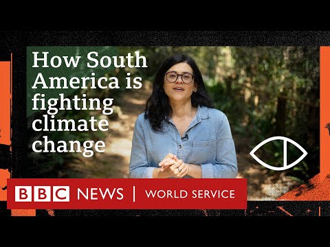 Inside South America's fight for a thriving planet - Global Eye, BBC World Service