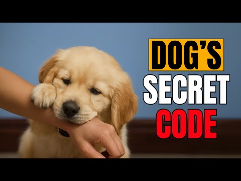 7 Surprising Ways Dogs Show Honor to Their Humans