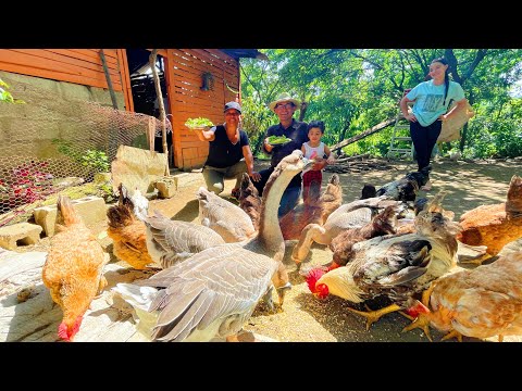 COCINANDO con familiares y amigos en un CAMPO de la VEGA RD