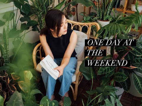 One day at the weekend | 周末慢生活 | 给植物洗澡 | 自制百香果柠檬饮料 | 院子里的鲜切玫瑰花