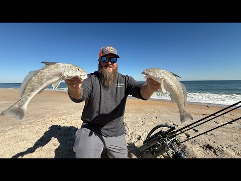 Winter Surf Fishing! These underrated fish are delicious! | Whiting | Catch Clean Cook