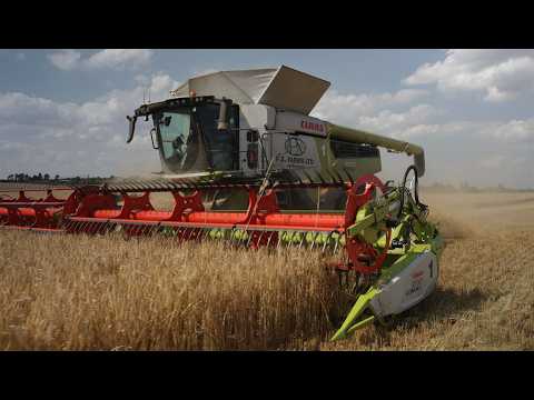 Full Steam Ahead with Barley Harvest! Tackling Rye Grass, Mole Draining & Combine Data Review