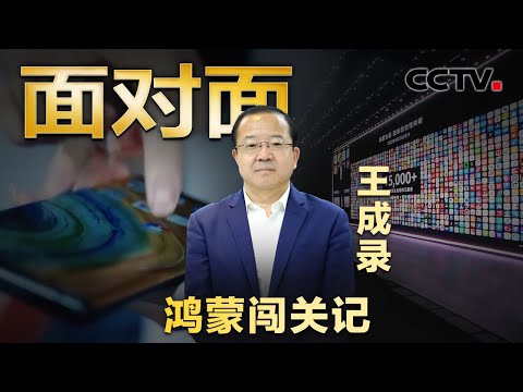 专访华为“鸿蒙之父”王成录，鸿蒙系统是如何诞生的？“纯血”原生鸿蒙有多酷？| CCTV「面对面」