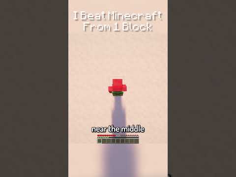 Part 13. I Beat Minecraft From 1 Block