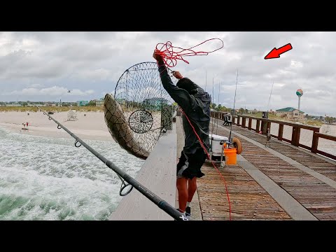 Fishing the Gulf Pier and Hooked This! *Biggest of the Year*