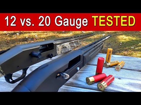 12 vs. 20 Gauge For Duck Hunting | TESTED