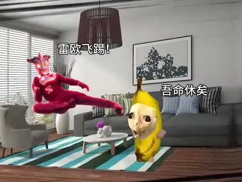 猫meme的日常-在室内踢球可以召唤奥特曼！！！#猫meme #猫meme小剧场 #猫meme剧场 #内容过于真实 #搞笑